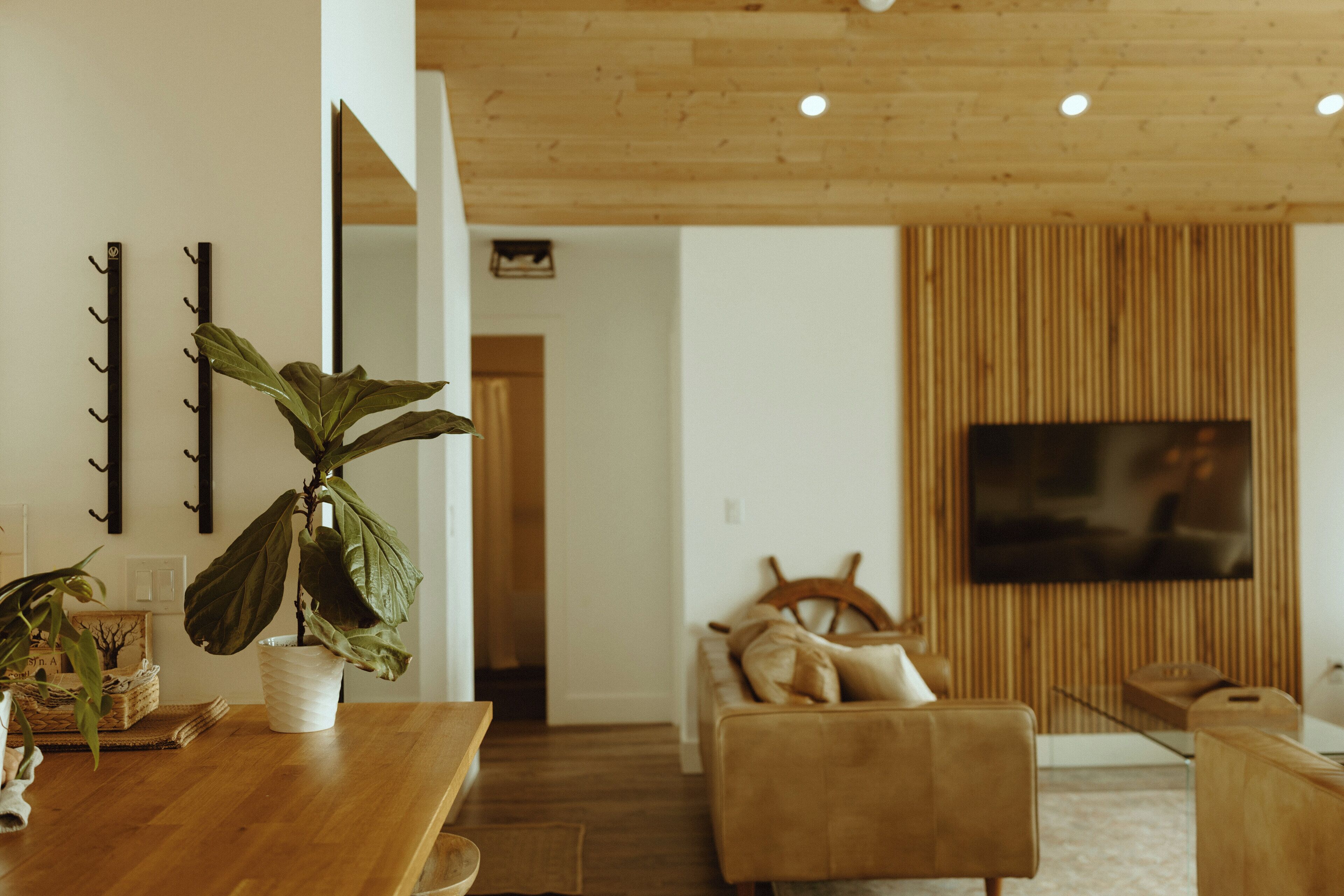 Télévision, cheminée