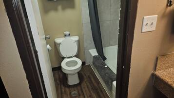 Un baño con inodoro, ducha y lavabo.