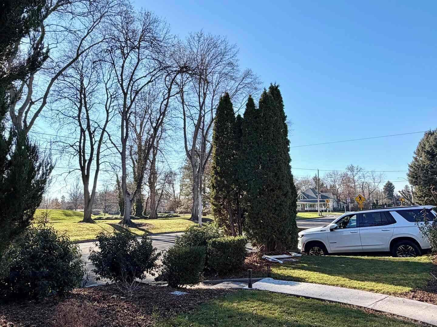 A residential street with a white SUV parked on the side, surrounded by trees and a grassy area.