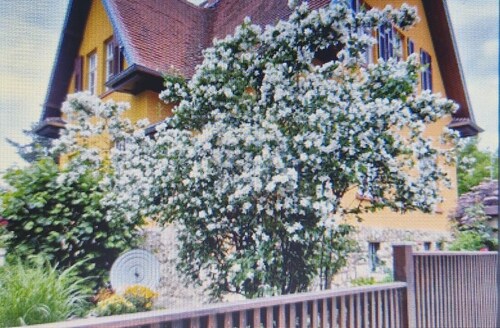 NEU! Ferienwohnung Schubert Weimar