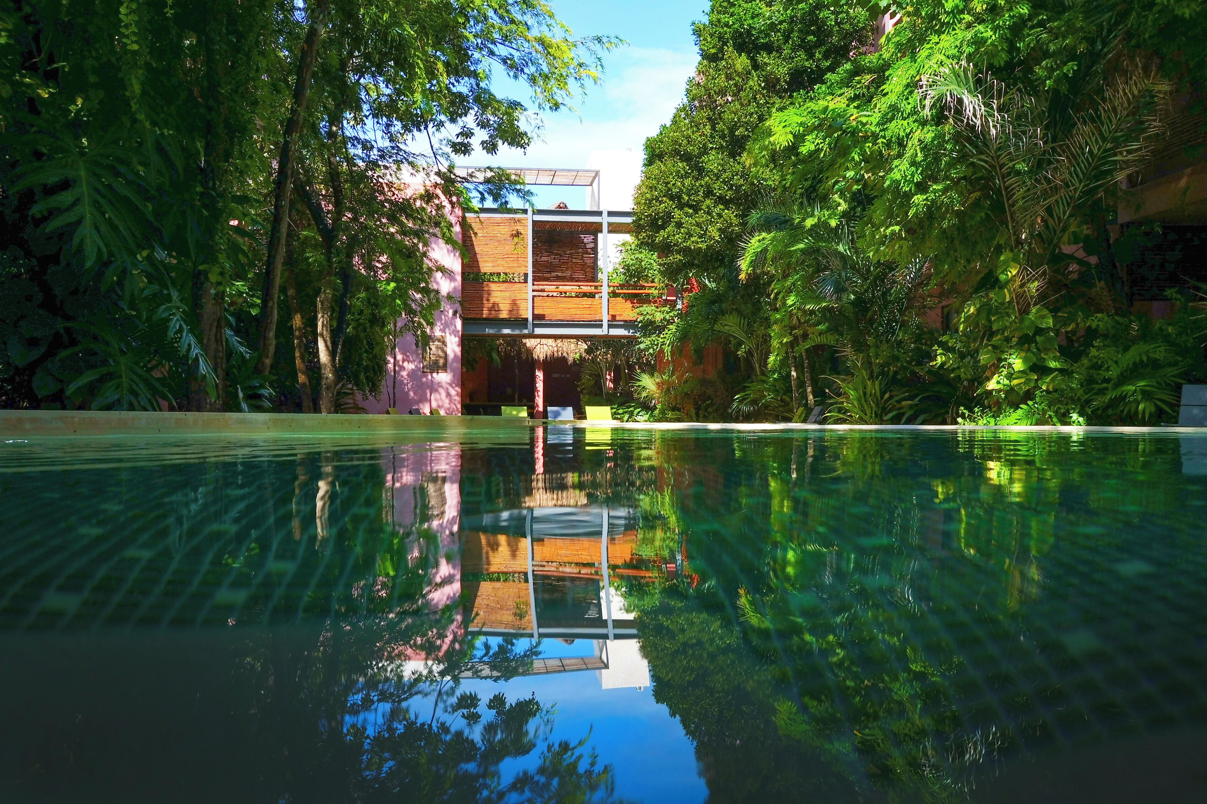 Outdoor pool, sun loungers