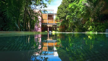 Outdoor pool, sun loungers