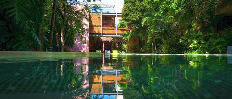 Outdoor pool, pool loungers