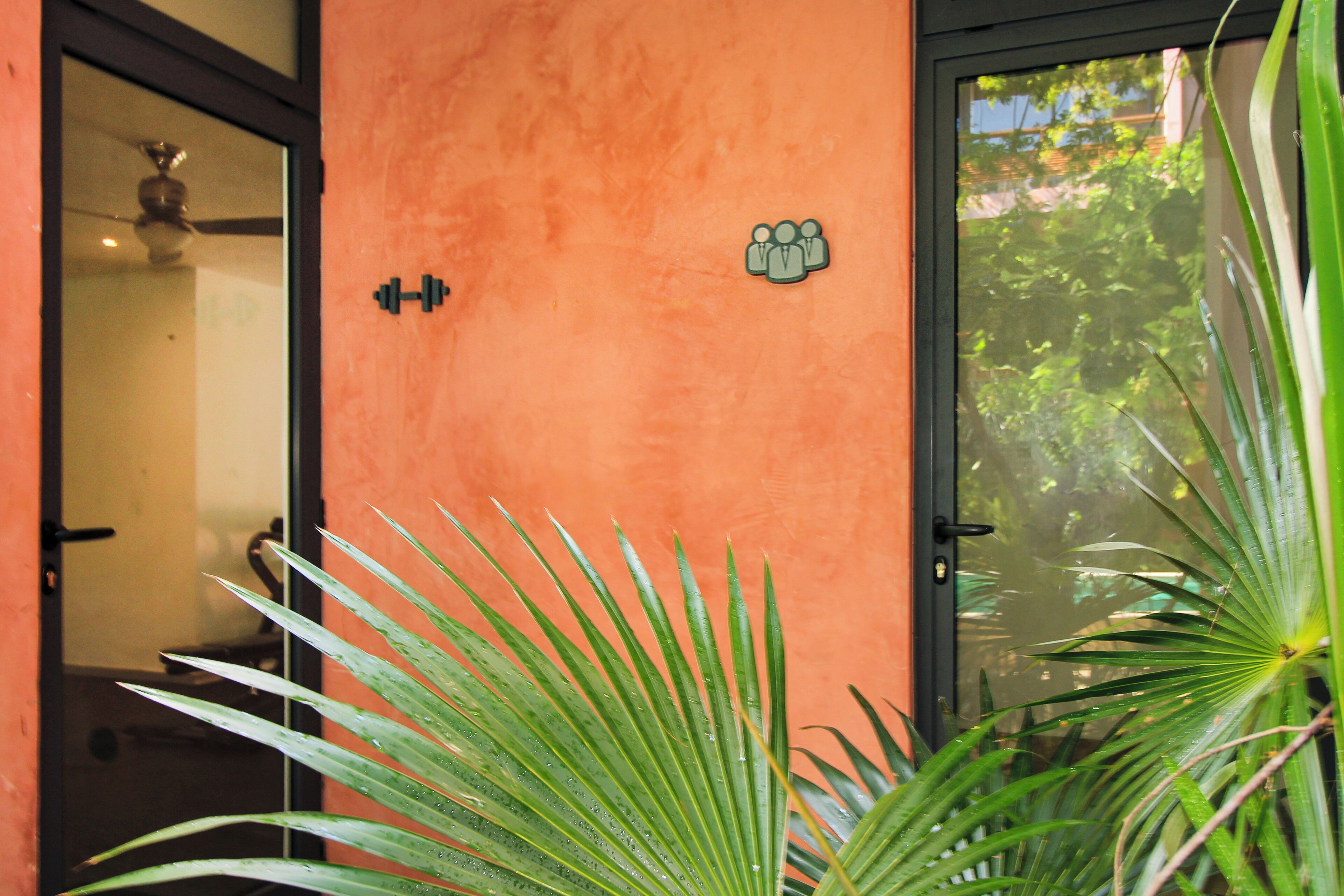 A room with a door, a ceiling fan, and a plant with long leaves.