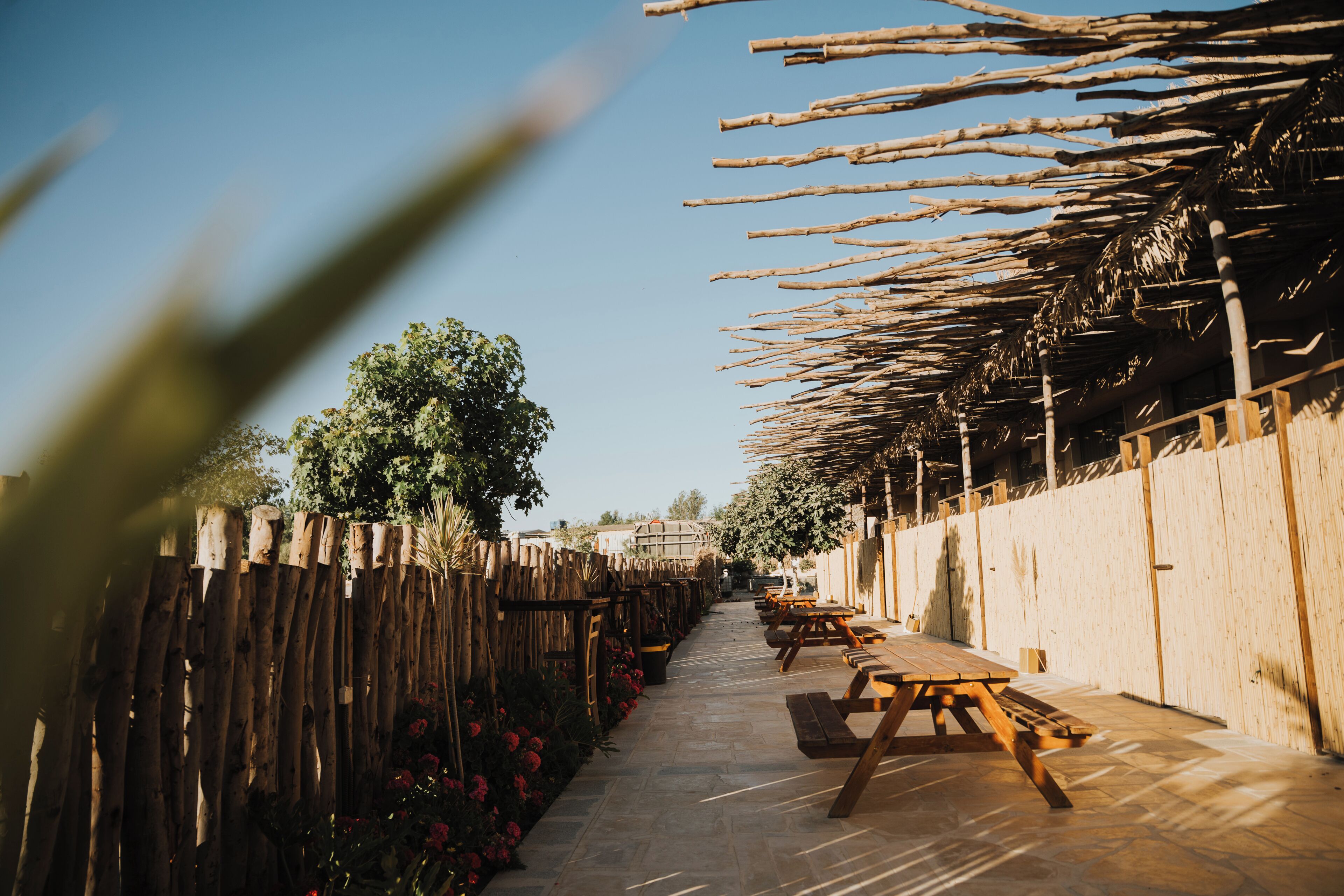 A pathway lined with wooden benches and tables, leading to a covered area with a thatched roof.