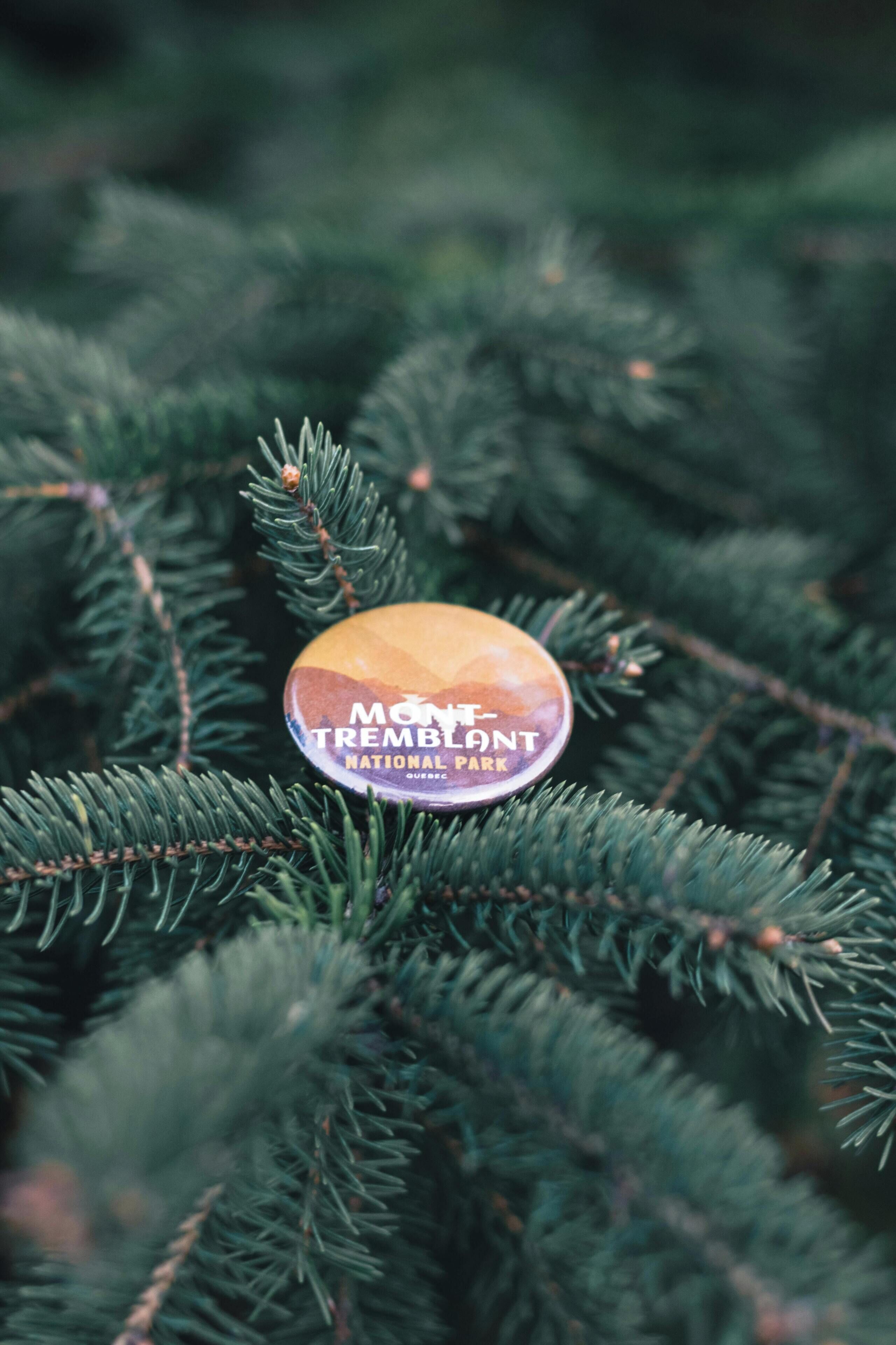A close-up of a Christmas tree with a badge on it.