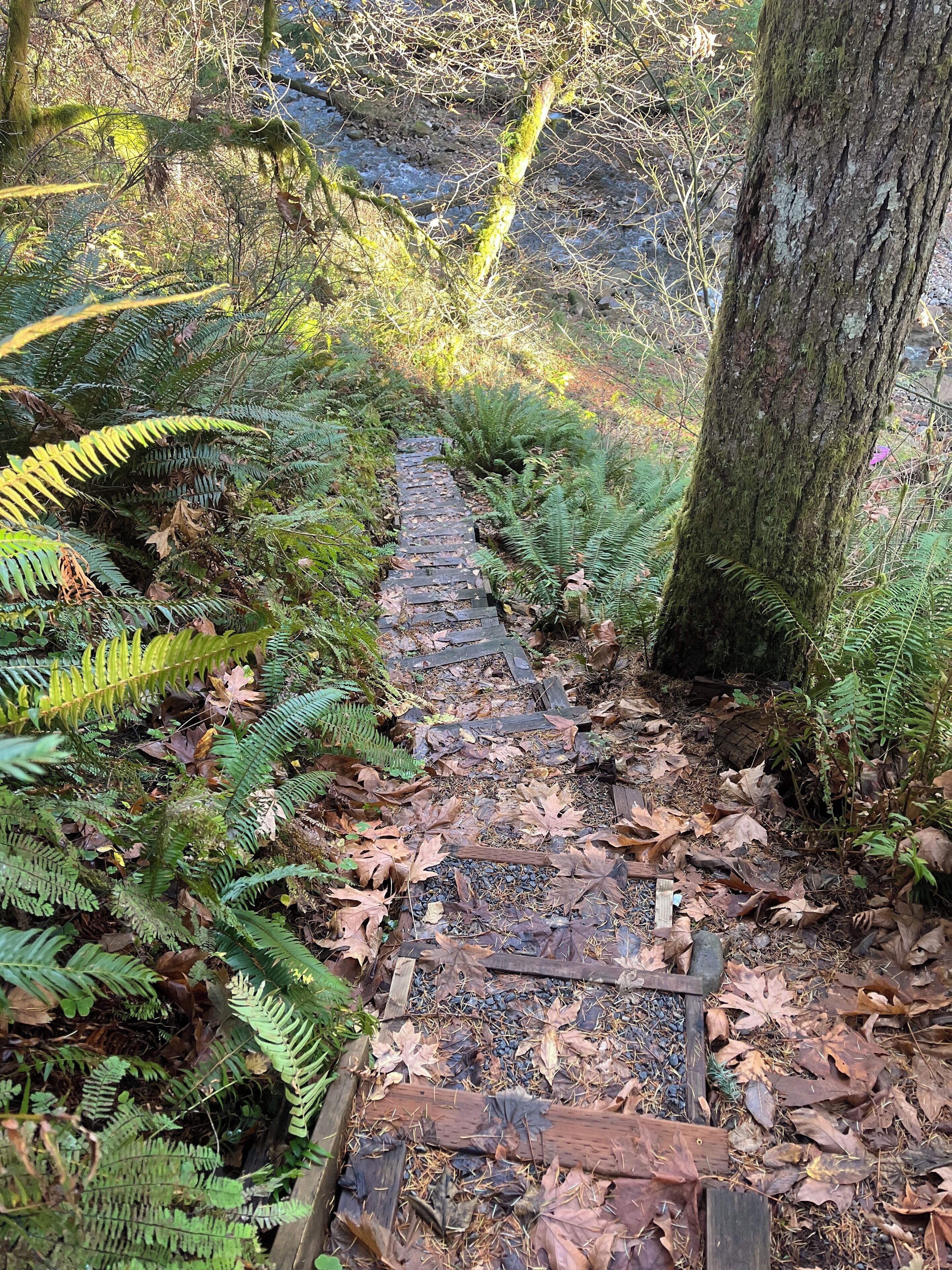 Àrea exterior de l'allotjament