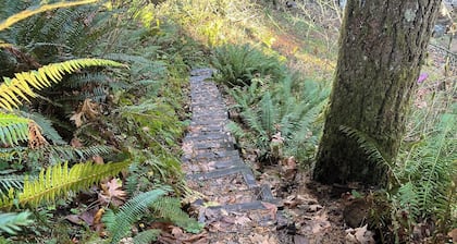 Cozy 2-bedroom LAKE HOUSE in charming Cougar with cool AC