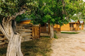 Property grounds - Rustic Ridge Cabins, Charming Dayton Retreat (3 Options!) (Dayton)