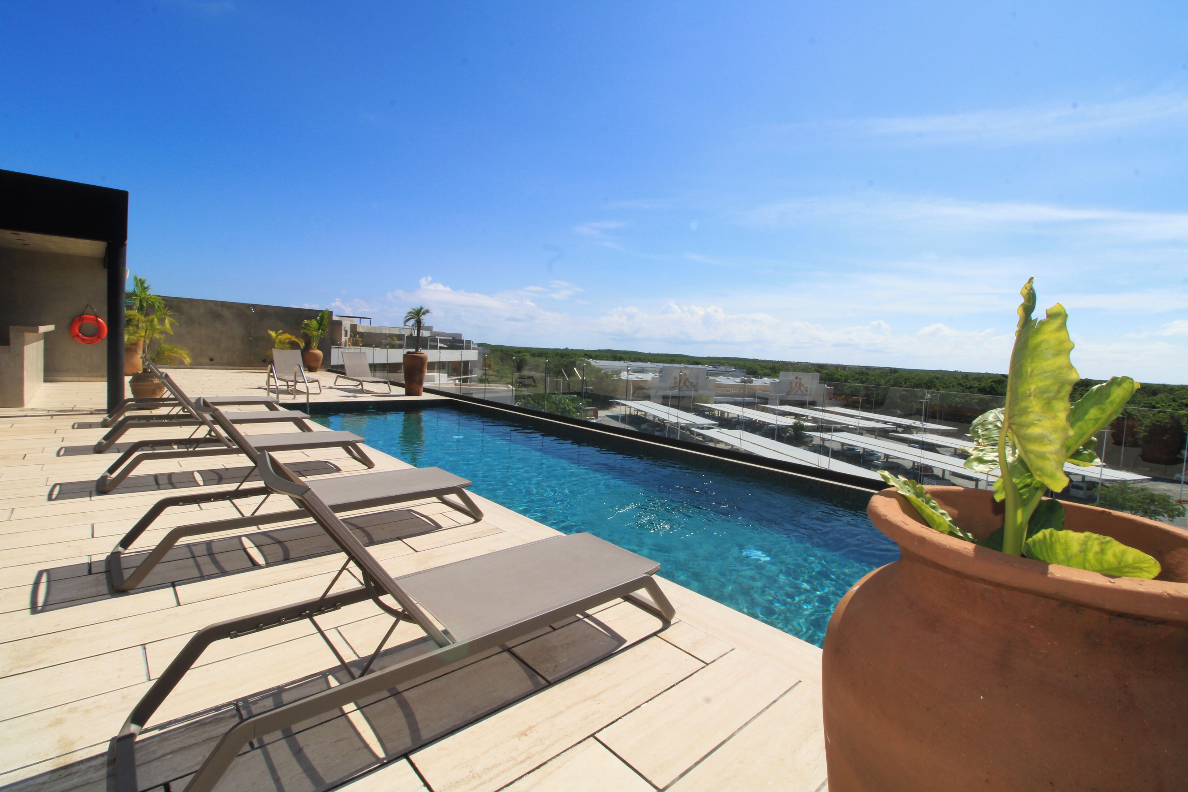 A rooftop pool area with lounge chairs and a large terracotta pot with a plant.