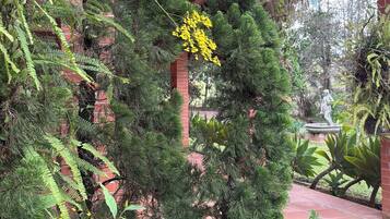 Área da propriedade