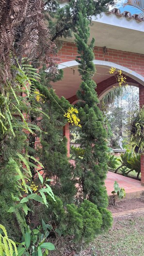 Property grounds - Country house with Wi-Fi in Piracaia - Leisure and relaxation amidst nature. (Batatuba)