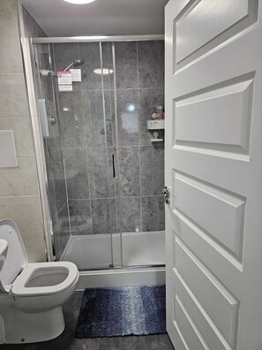 Shower, towels, toilet paper