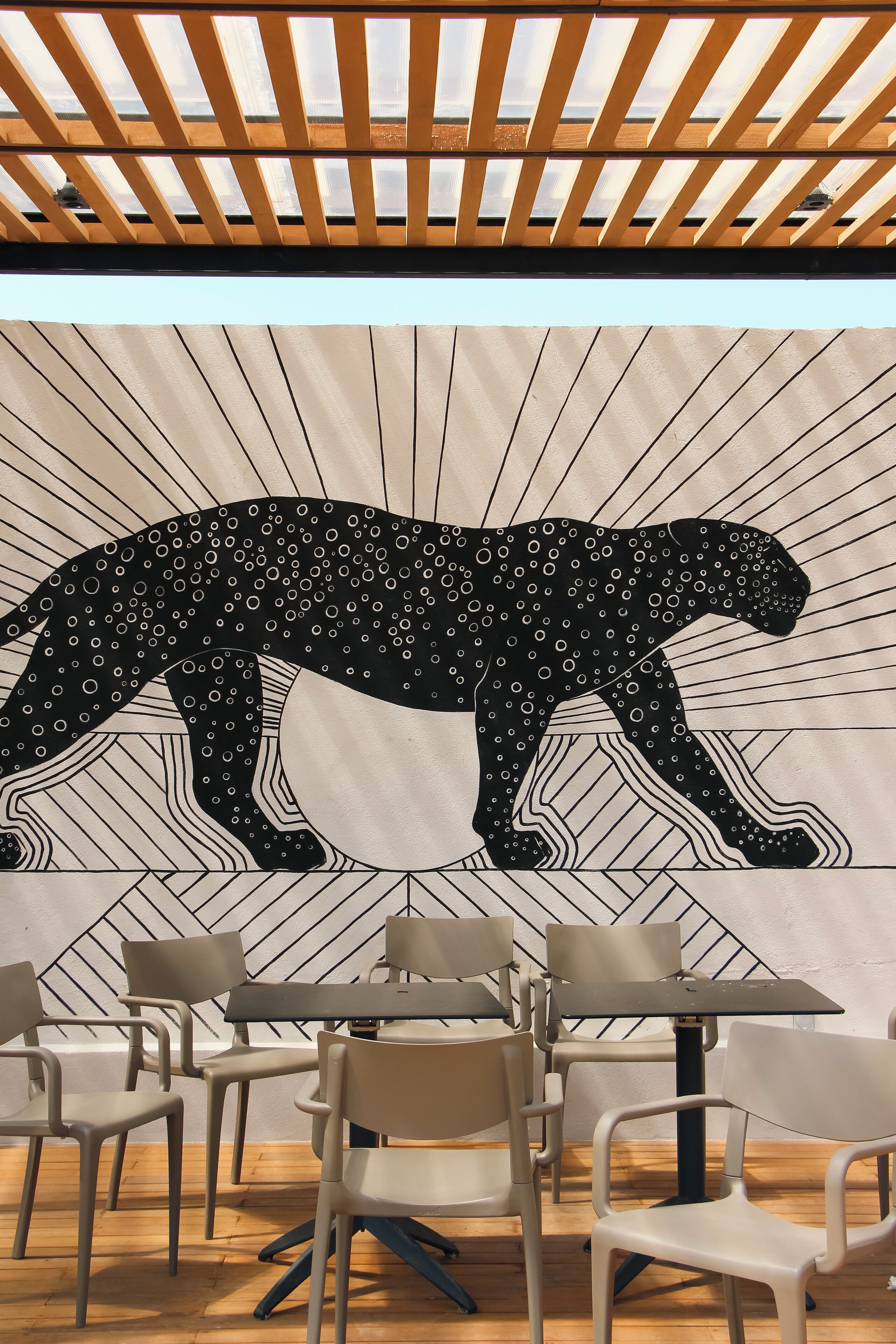 Terraza en la azotea