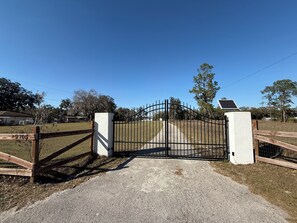 Property grounds - 4BR/3BA Family & Pet-Friendly Oasis Near Downtown (Lakeland)