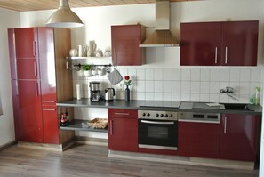 Stovetop, dishwasher - Vogtland & Erzgebirge - both right on the doorstep - hiking, skiing, sauna, everything (Steinberg)