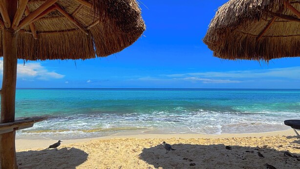 A beach with thatched umbrellas, clear blue water, and sandy shore. - Cozy Studio apartment in tranquil Cancún with AC (Cancún)