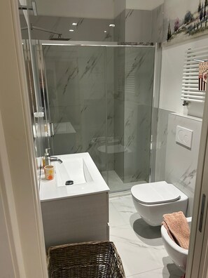 Hair dryer, towels, soap, toilet paper