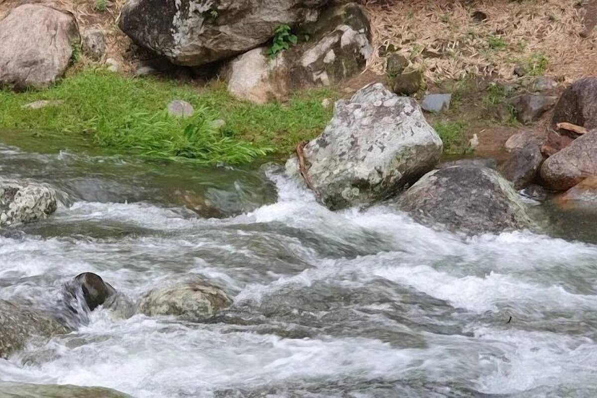 Egy folyó, melynek kristálytiszta vize a köveken folyik keresztül.