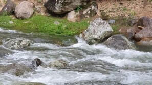 คลาสสิกเคบิน