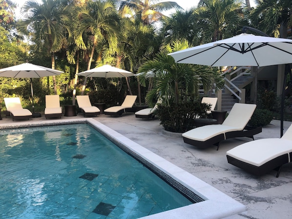 Pool - FERN COTTAGE: Beautiful Studio, Only Steps Away From Grace Bay Beach and Strip! (Grace Bay)