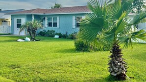 A residential house with a well-maintained lawn and a palm tree.