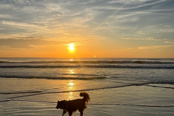 Playa