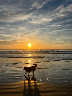 Beach - Ocean Breeze Retreat – Walk to the Beach! (St. Augustine)