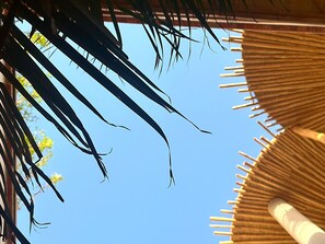 Property grounds - Riad Nesayam - 3 suites - Heated swimming pool - Staff & breakfast included (Marrakech)