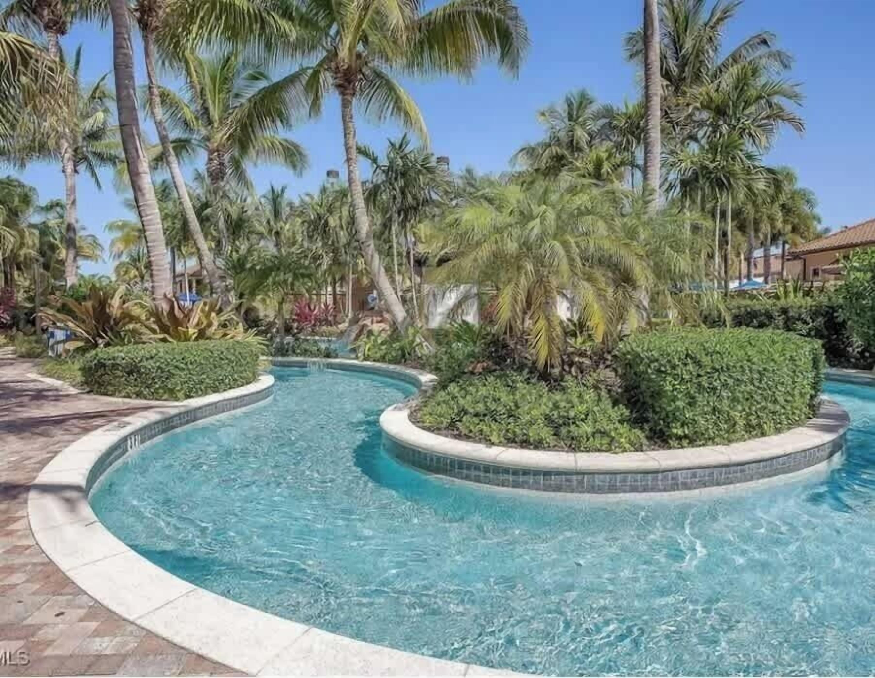 Una piscina de diseño curvo, rodeada de palmeras y vegetación.