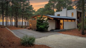 A modern house with a curved roof, a stone pathway, and a view of the forest. - Cape Charles / Beach Access, Hot Tub & Fire Pit (Cape Charles)