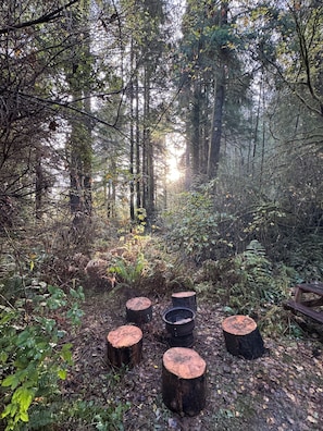 Property grounds - The Mossy Hideout Cabin (Klamath)