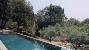 Une piscine rectangulaire bordée de galets, entourée de divers arbustes et arbres.