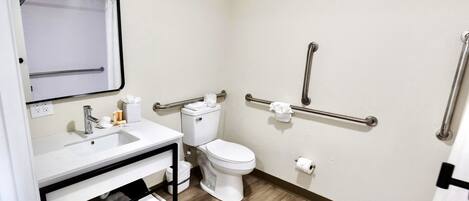 A small, clean bathroom with a white sink, toilet, and handrails for accessibility.