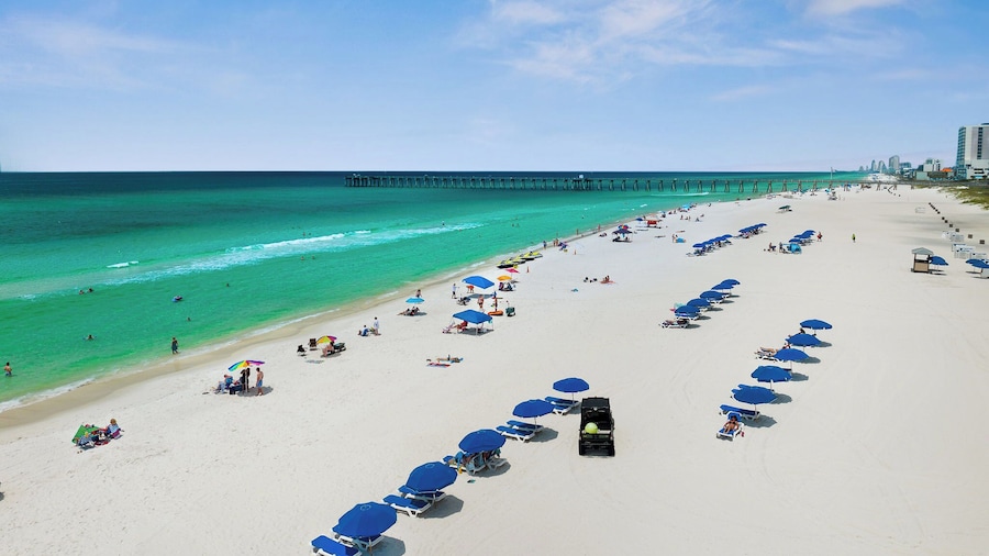 The Palm & Tide Beachfront Hotel