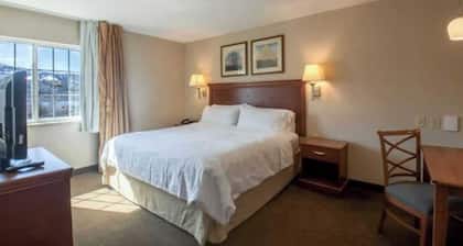 One Bedroom King suite ADA