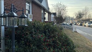 Una calle residencial con casas, un seto con bayas rojas y automóviles estacionados.