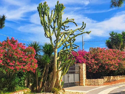 Borgo Levante Farmhouse / Green Room