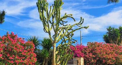 Borgo Levante Farmhouse / Green Room