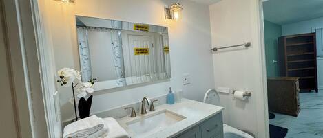 Shower, jetted tub, hair dryer, bidet