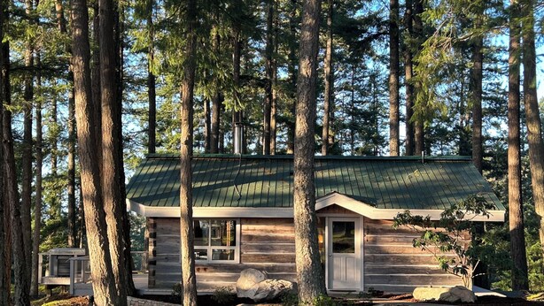 A cabin with a green roof, surrounded by tall trees. - Welcome to Cloud 99! Cabin has privacy, quiet, awesome view! Recently updated. (Mayne Island)