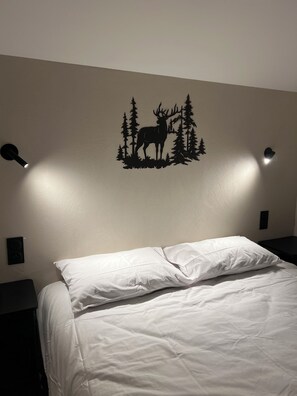 Fer et planche à repasser, Wi-Fi gratuit, draps fournis