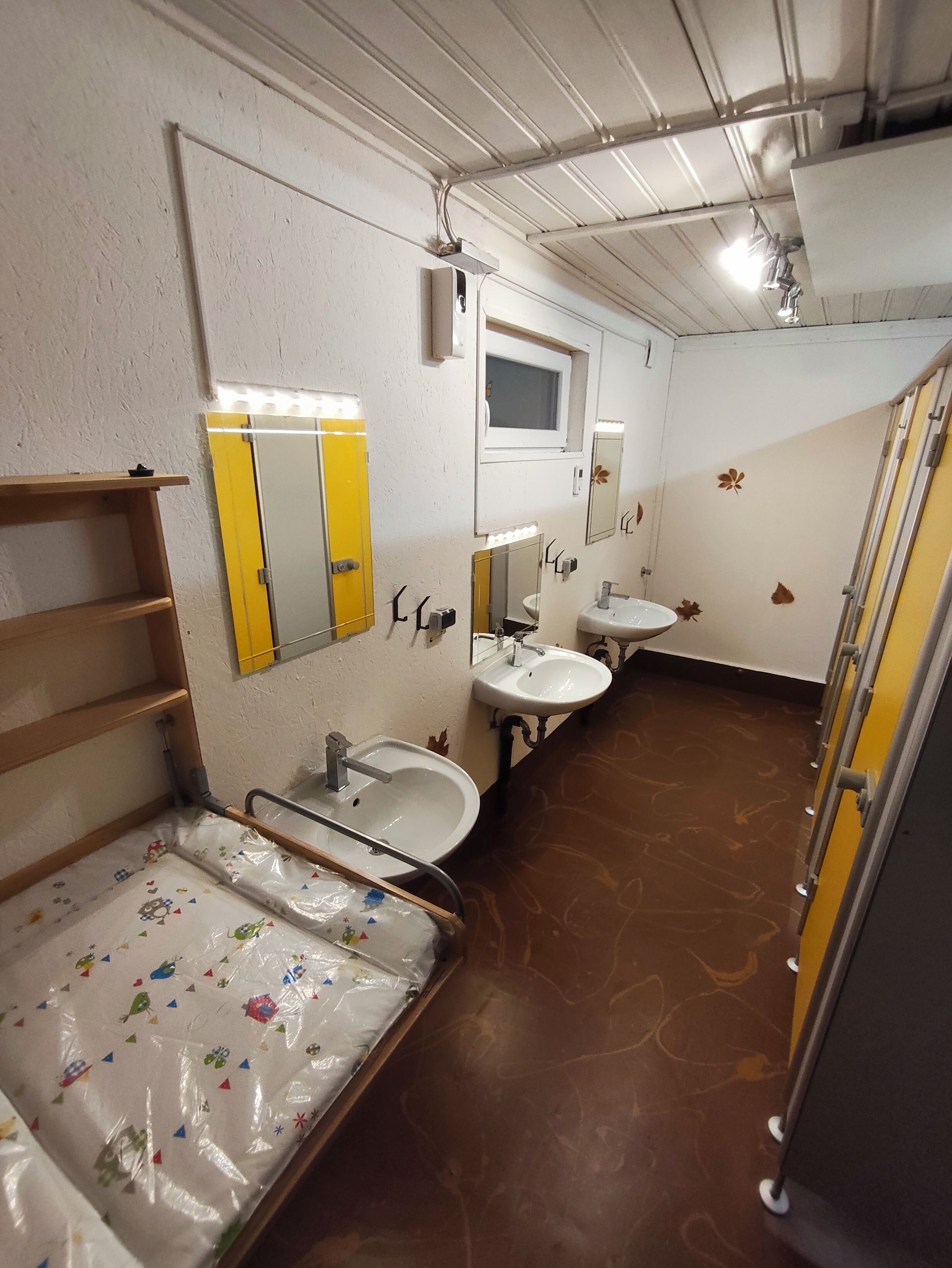 Shower, toilet paper