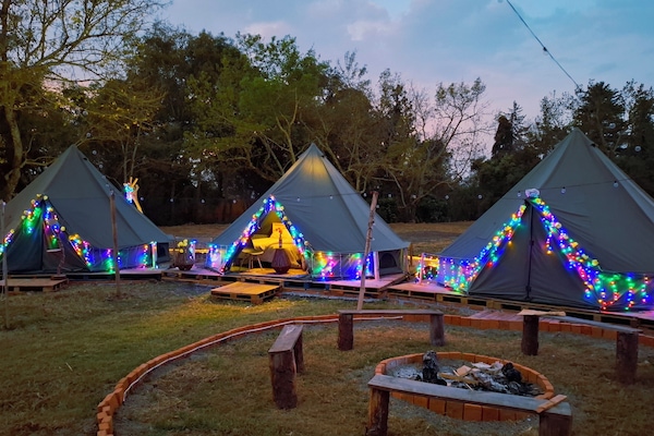 Down comforters, free WiFi, bed sheets