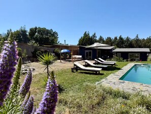 Pool - Bottle light garden house/pool-jacuzzi-sauna (Valparaíso)