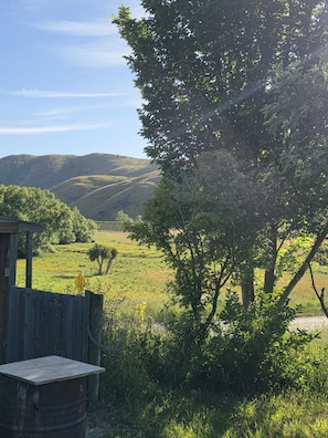 Property grounds - Rabbit Ranch
Burkes Pass
Gateway to Tekapo and the Mackenzie District (Burkes Pass)