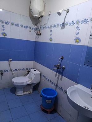 Hair dryer, slippers, towels, soap - Airport hotel Mayank plaza (New Delhi)