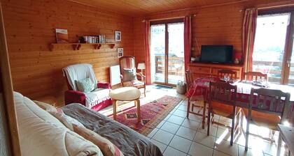 2 to 4 persons, terrace, nice view, box for 2 bikes, 41 M2 apartment.