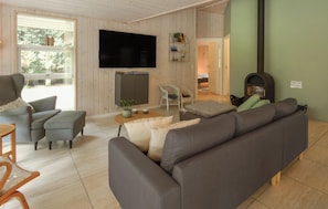 Smart TV, caminetto