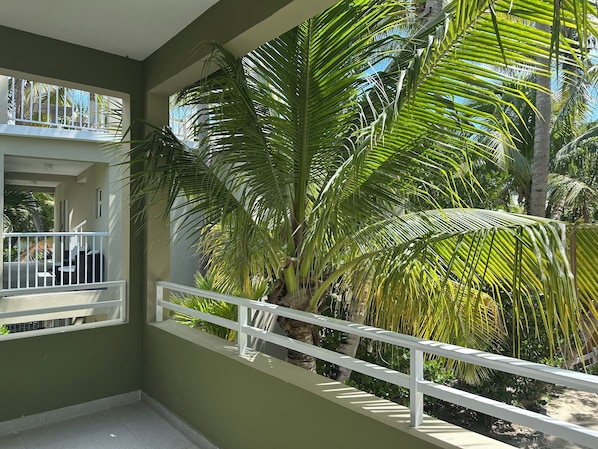 Ein Balkon mit weißen Geländern, Blick auf eine üppige grüne Palme und ein Gebäude im Hintergrund.